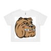 AS Colour / Wo's CROP TEE Thumbnail